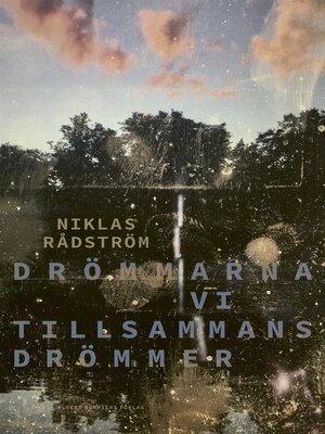 cover image of Drömmarna vi tillsammans drömmer